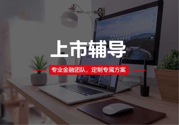 上市輔導(dǎo)